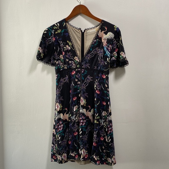 Alice + Olivia Amara Floral Bird Print Lace Trim Dress, Size 0 - Picture 3 of 12